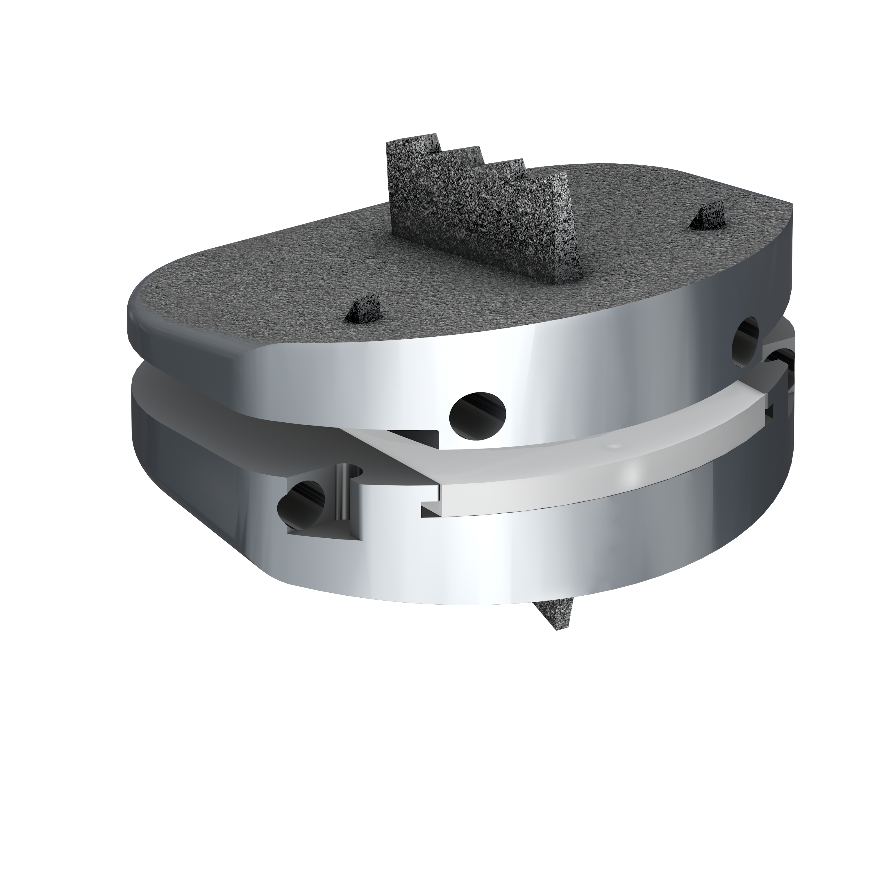 Disk Prosthesis