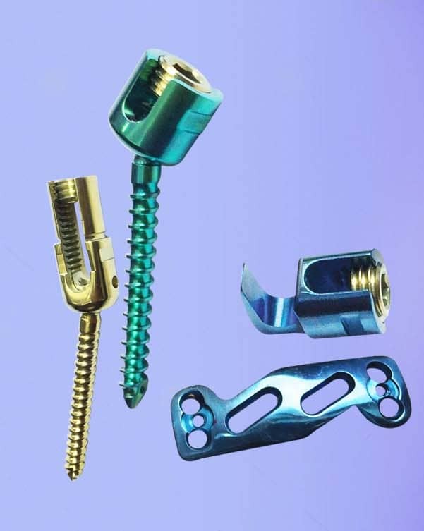 Spine